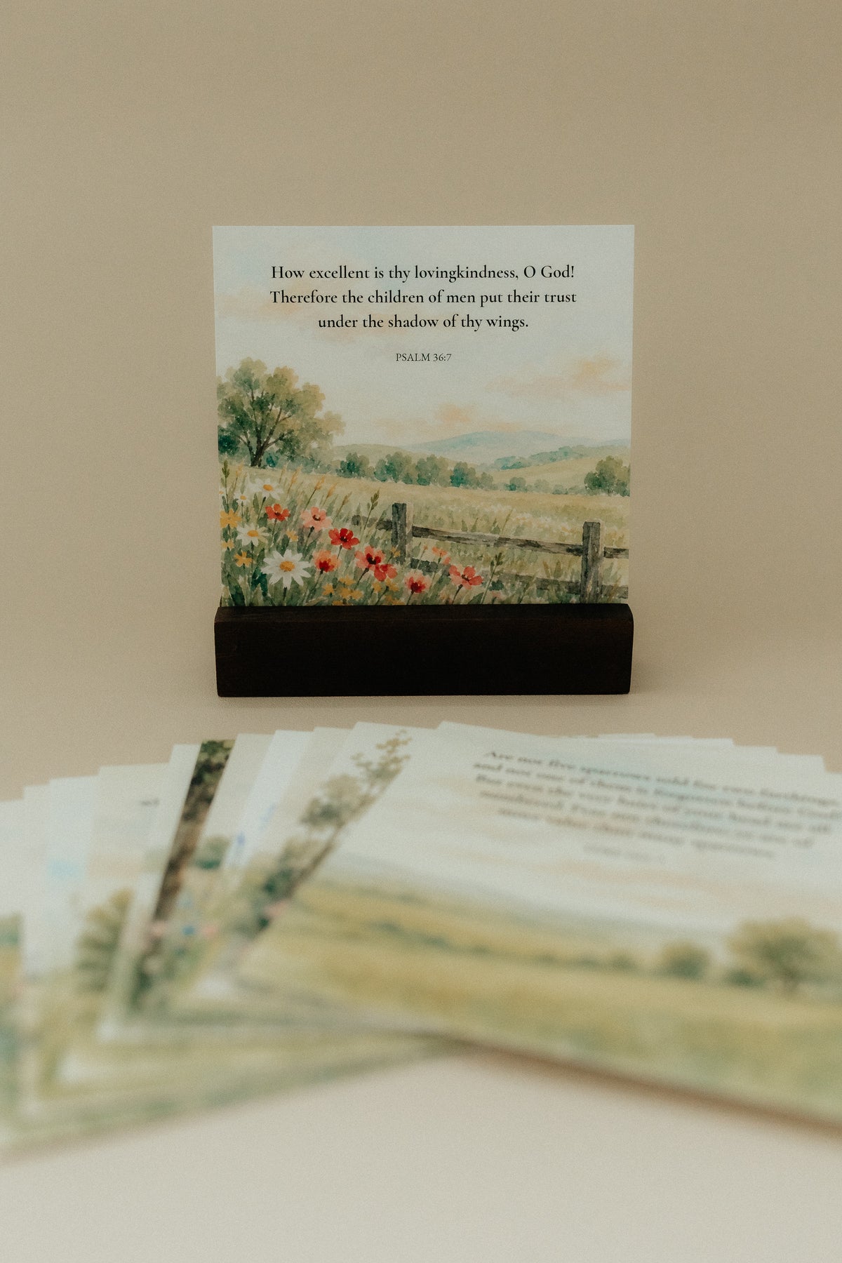 Flowers & Fields, Signature Scripture Cards, Christian Gifts