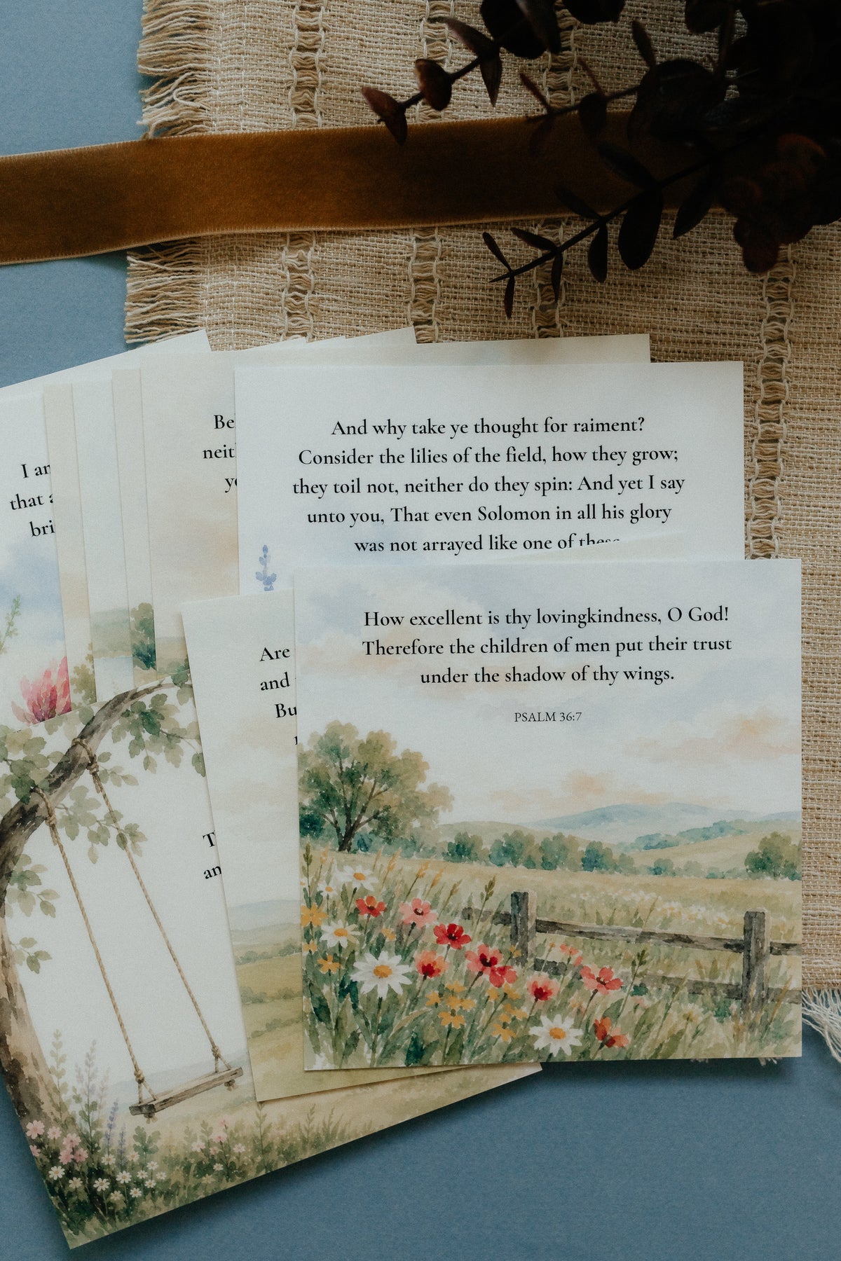 Flowers & Fields, Signature Scripture Cards, Christian Gifts