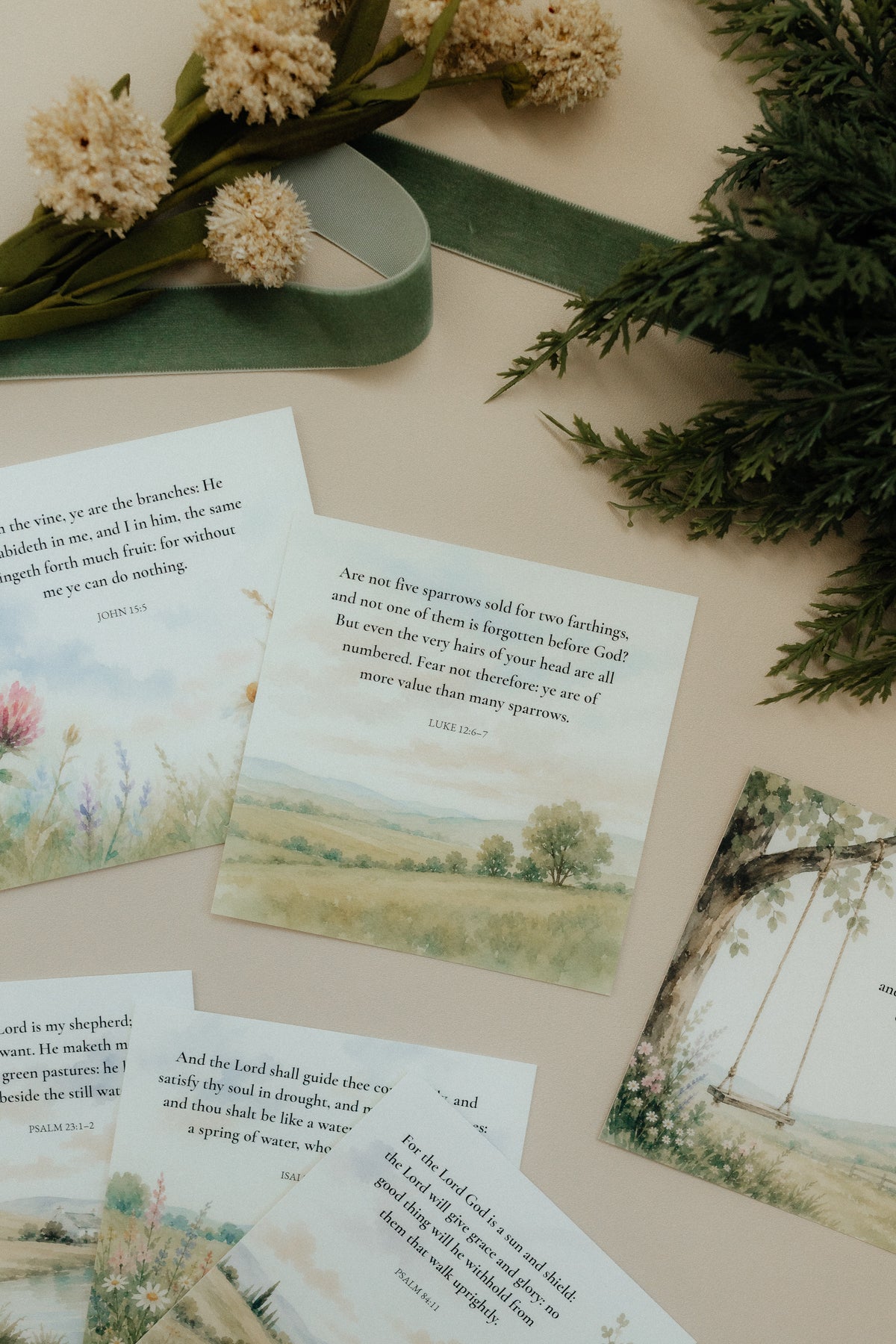 Flowers & Fields, Signature Scripture Cards, Christian Gifts