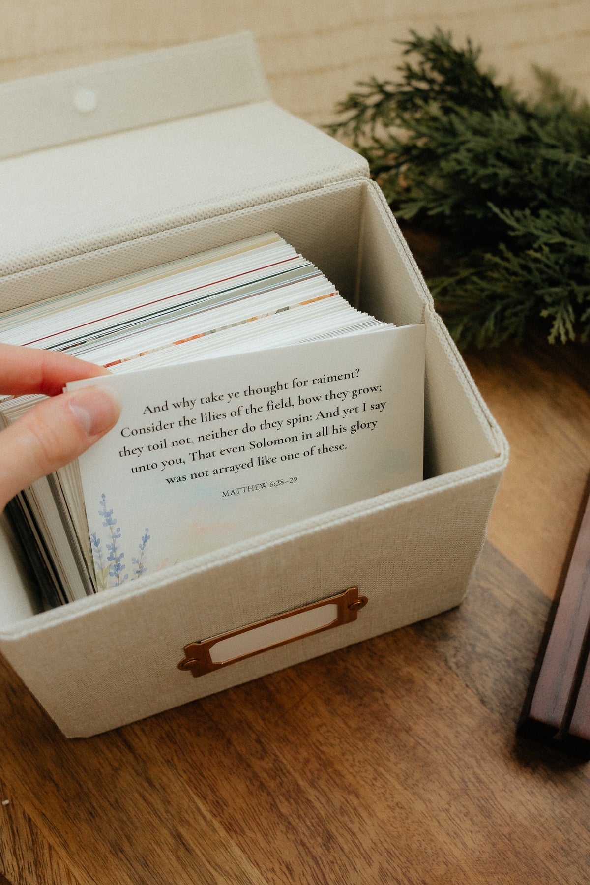 In Bloom, Signature Scripture Cards, Christian Gifts
